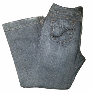Freestyle Plus Size Revolution Jeans